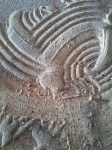 15578627_984063685032141_7537369707940811082_n