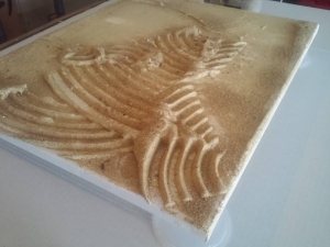 20525662_1183553768416464_1728490738203969187_n